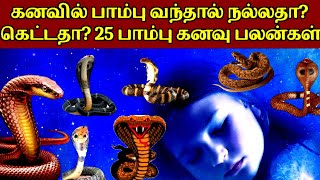 கனவில் பாம்பு வந்தால் நல்லதா?கெட்டதா?25 பாம்பு கனவு பலன்கள்|Pambu Kananu Palan|Snakes in Dream|கனவு