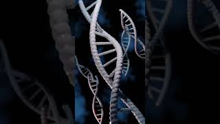 DNA Strand slow motion. Medical research, genetic engineering, biology. 3D rendering in Blender