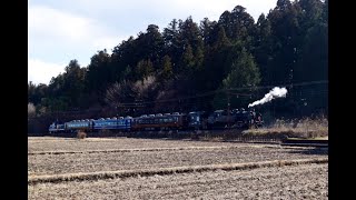 『C11325＋ヨ8709＋14系客車・SL大樹ふたら72号』2023/2/25(東武鉄道[東武日光線])‬ #SL大樹 #東武鉄道 #C11325