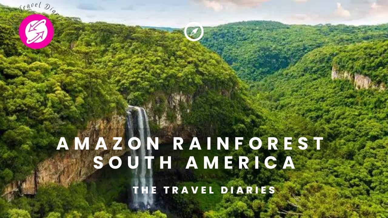 Exploring The Enchanting Beauty Of The Amazon Rainforest South