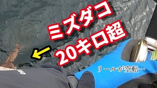 20キロと対峙❗️【ミズダコ釣り】