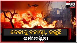 ବେକାବୁ ବନାଗ୍ନୀ, ଜଳୁଛି କାଲିଫର୍ଣ୍ଣିଆ || Naxatra News