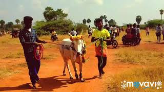 Thamarakki manjuvirattu