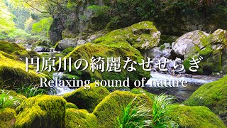 【自然音4K】円原川の綺麗なせせらぎ 自然の音 Relaxing sound of nature 3h 【リラックス 睡眠 癒し ASMR】   4K