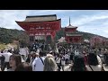 the京都 清水寺2024.4.7 桜満開🌸