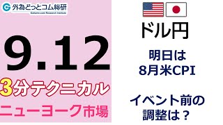 FX/為替予想  「ドル/円 、明日は 8月米CPI 、イベント前の調整は？」見通しズバリ！3分テクニカル分析 ニューヨーク市場の見通し　2022年9月12日