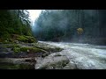 36 relaxing foggy river study sleep focus 8 hours