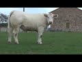 lot 77 cowllection simon genetic 2022