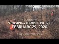 Rabbit Hunting - The Cutovers Action Feb. 29, 2020