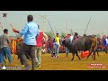 Bikat vs. Sinharaj | Sylhet Bull Lorai Sylhetibisalmair