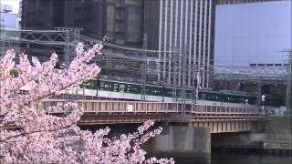 毛馬桜之宮公園(桜之宮橋～天満橋) 2014 桜並木が美しい