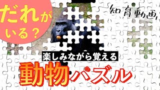 【想像力・空間認知能力を鍛える】だれがいるかな？（楽しみながら覚える！！）