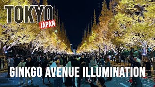 Autumn in Tokyo: Ginkgo Tree Illumination at Meiji Jingu Gaien 明治神宮外苑 いちょう並木のイルミネーション