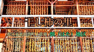 干し柿の里　晩秋の風物詩、東出雲町　畑（はた）地区　柿小屋には干し柿のすだれが並びます