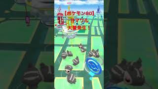 【ポケモンGO】ヨマワル大量発生！ #shorts #ポケモンgo