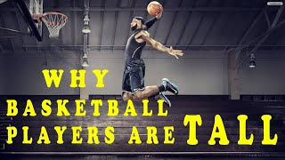 Why Basketball Players Are TALL | கூடைப்பந்து வீரர்கள் ஏன் உயரமாக இருக்கிறார்கள் | SuperHumans