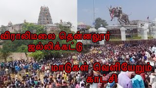 தென்னலூர் ஐல்லிக்கட்டு திருவீழா |Tamil| MOHAN DINESH