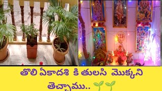 #vlog #పొద్దున్నే క్యారేజెస్ హడావిడి  అయ్యాక hansh తో  టైం ఇలా అయిపోయింది. ఇంట్లోకి కొత్త మొక్క 🌱🌱