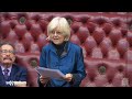 baroness hayter of kentish town house of lords conversion therapy debate