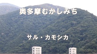 【おじさんハイキング】奥多摩・むかしみち、歩きます！