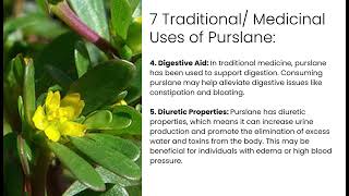 7 Traditional Uses of PURSLANE - DR. SEBI Approved -  from NUTRITIONAL GUIDE