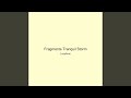 Fragments Tranquil Storm