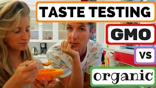 GMO VS ORGANIC PAPAYA TASTE TESTING