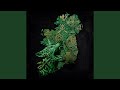 The Irish Roar