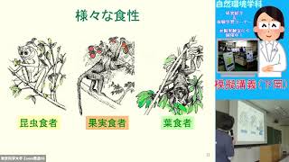 生物多様性の宝庫　アマゾ熱帯雨林に暮らす動物たち（自然環境学科　模擬講義20210711下岡先生）