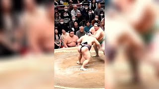 The Shocking Truth Behind Sumo Wrestling — Discipline, Power, and Secrets!
