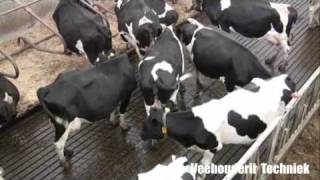 Mechaman visit dairy Dieteren