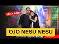 OJO NESU NESU (LIRIK LAGU INDONESIA) DIFARINA INDRA FT FENDIK #adella