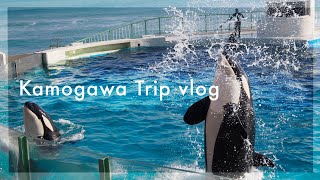 旅vlog｜鴨川シーワールド・鴨川シーホテル｜20代ひとり旅