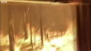 Focus tv angela news area international australien explosion of fire in their bush