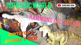 Reviewing Jurassic World Hammond Collection Irritator \u0026 Juvenile T-Rex!!