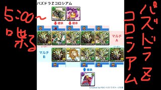 [パズドラ]パズドラZイベント_パズドラZコロシアム_正月ノルディスパ_2人マルチ周回編成[パズル\u0026ドラゴンズ]