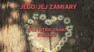 TAROT - JEJ/JEGO ZAMIARY - WSZYSTKIE ZNAKI