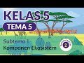 Kelas 5 Tema 5 Subtema 1 Pembelajaran 2