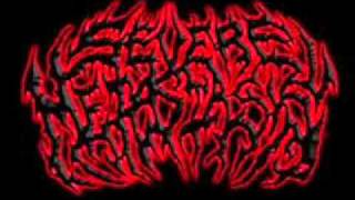 Severe Metastasis - Insenerated By Flaming Sun