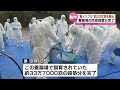 【鳥インフル】 約33万7000羽を処分　養鶏場の防疫措置も完了 《新潟》