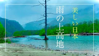 【大正池〜河童橋】雨の日の上高地散策【雨だからこその美しさ】