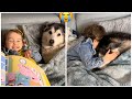 Adorable Baby Takes Care Of Her Old Husky & Reads Her A Story!🥹. [CUTEST VIDEO EVER!!!!]