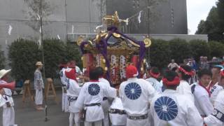 平成28年　浜降祭＜さむかわ神輿まつり＞寒川四社渡御（駅前公園～御旅所）