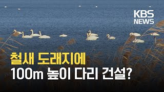 철새도래지에 100m 높이 다리?…“서식지 훼손 불가피” / KBS