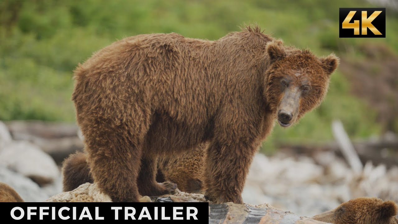 THE HUNGRY GAMES: Alaska's Big Bear Challenge - Official Trailer - YouTube