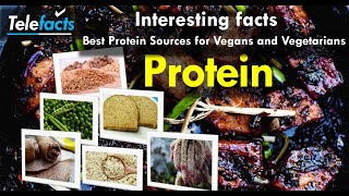 Interesting facts - Best Protein Sources for Vegans and Vegetarians Protein (Seitan, Tofu, Tempeh…)