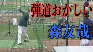 フライ革命　カチ上げまくる首位打者 森友哉のティーバッティング【埼玉西武ライオンズ】