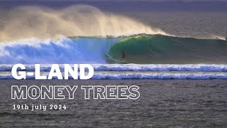 GLAND 19TH JULY 2024 | MONEY TREES | LONG SURFING VIDEO