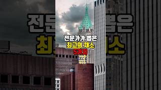 미국 전문가들이 말하는 최고의 채소 5가지