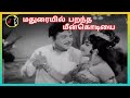 maduraiyil parantha மதுரையில் பறந்த msv tms